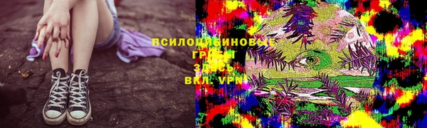ГАЛЛЮЦИНОГЕННЫЕ ГРИБЫ Алексеевка